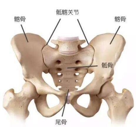 骶髂关节炎